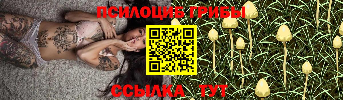 Галлюциногенные грибы Psilocybe Уссурийск
