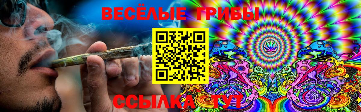 Псилоцибиновые грибы GOLDEN TEACHER  Вход с VPN  Уссурийск 